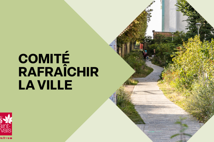 Ecran-comiteRafraichirLaVille.png